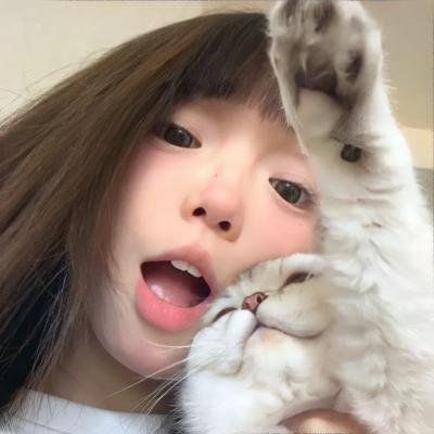 吉娃娃